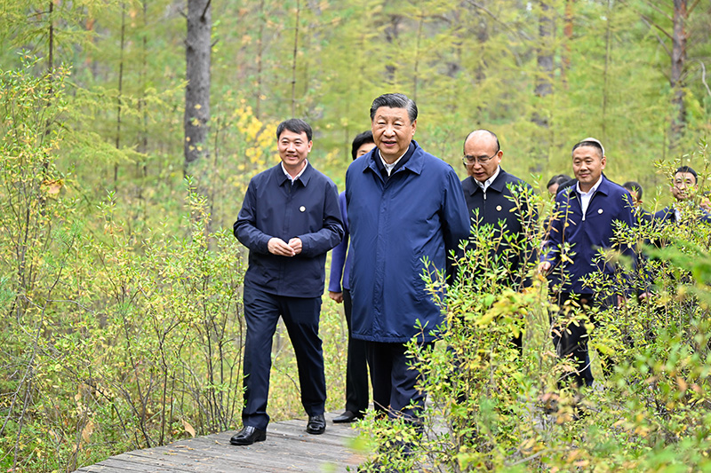 9月6日至8日，中共中央總書記、國家主席、中央軍委主席習(xí)近平在黑龍江考察。這是6日下午，習(xí)近平在大興安嶺地區(qū)漠河市漠河林場(chǎng)自然林區(qū)考察